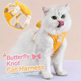 Small Dog Harness & Leash