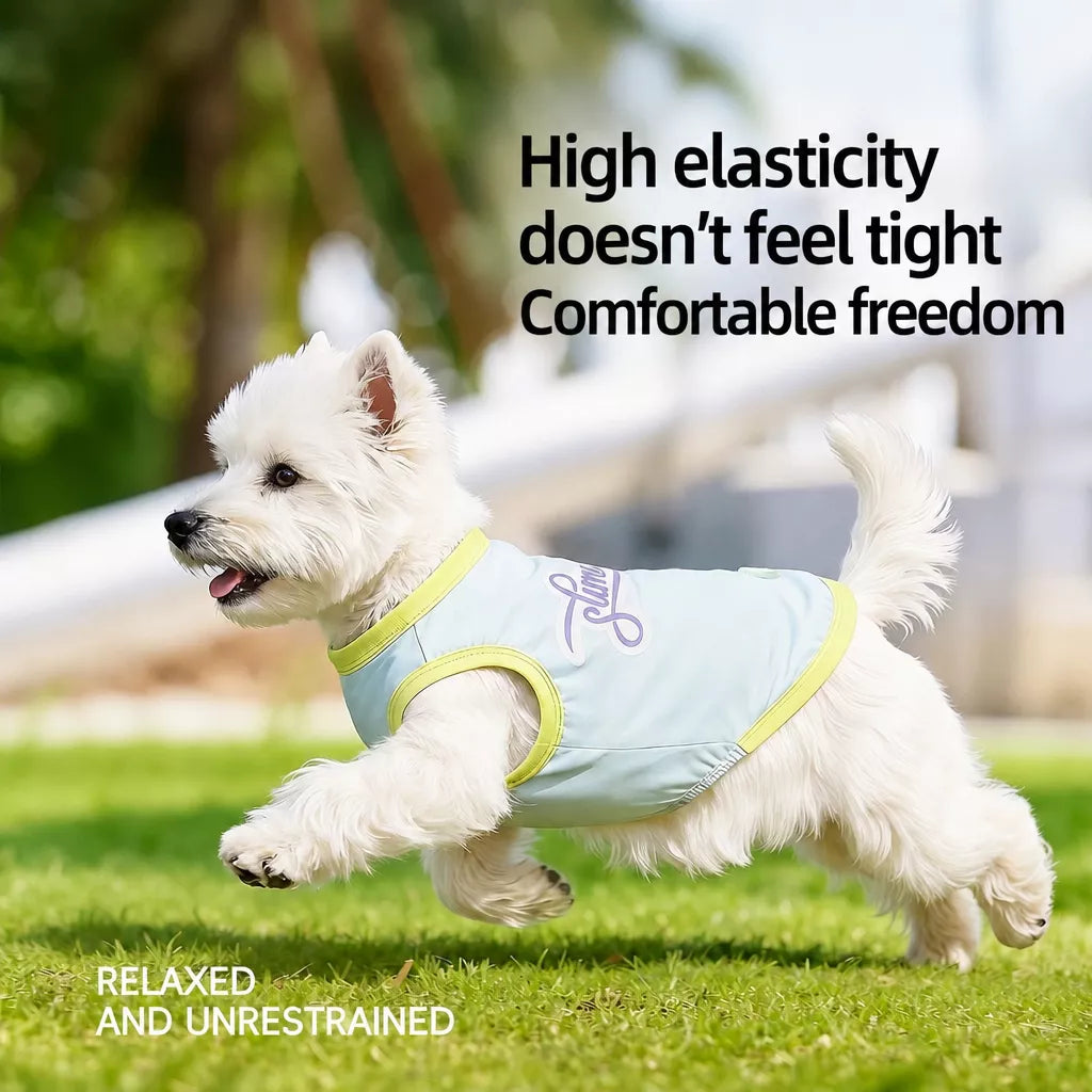 Lightweight Summer Dog Vest