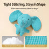 Squeaky Dog Toys for Puppies and Small to Medium Dogs