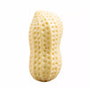 Peanut-Shaped Squeaky Dog Toy