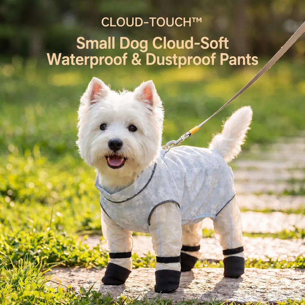 Lightweight Four-Leg Mesh Suit for Small Dogs
