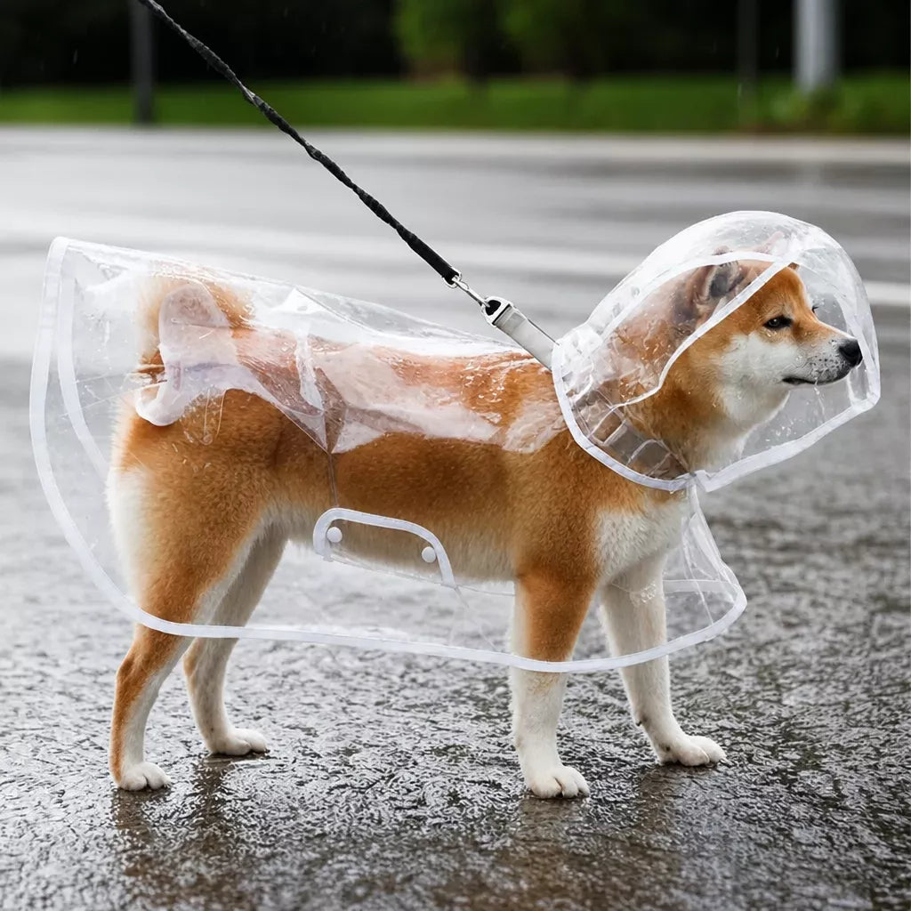 EVA Rain Poncho for Dogs