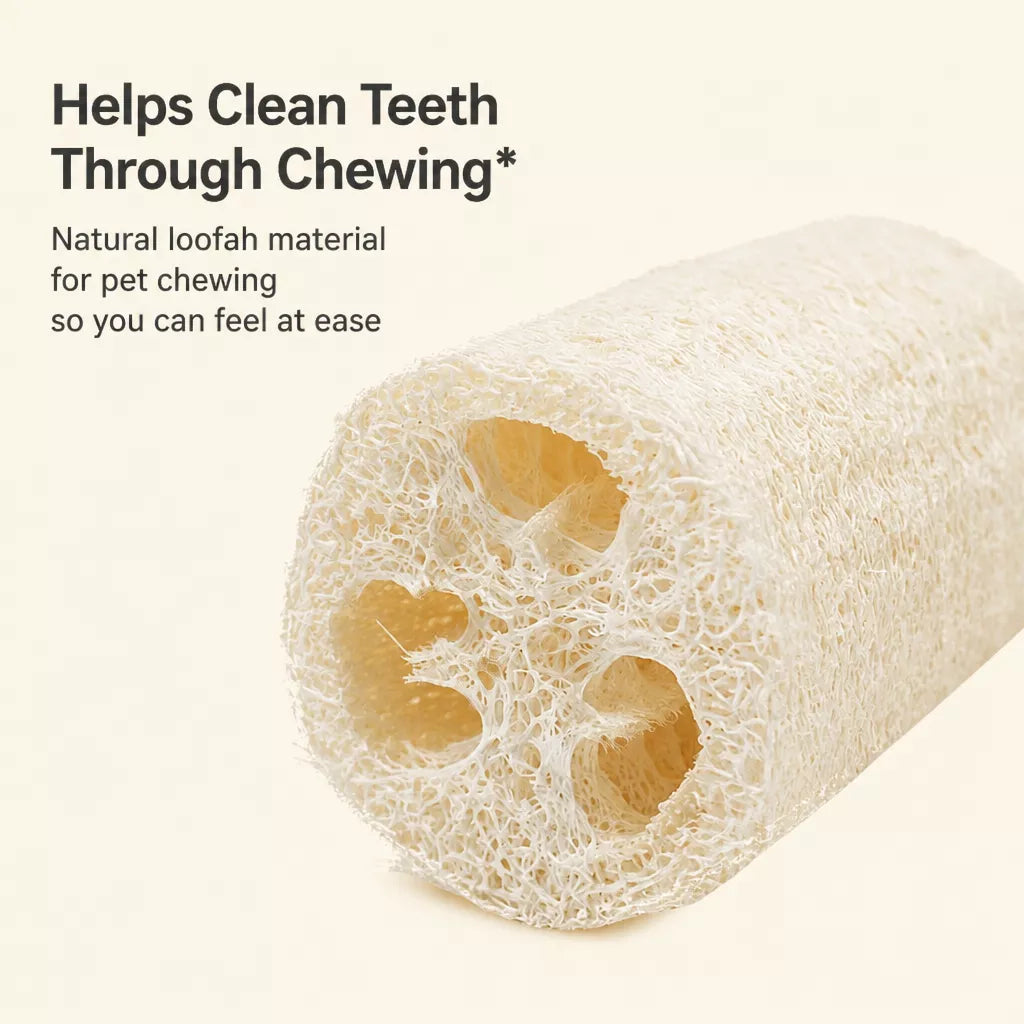 Cat Toy Collection with Natural Loofah and Catnip