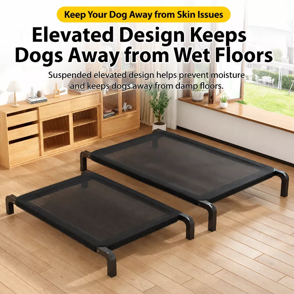 Raised Mesh Dog Cot with Iron Frame for Small to Large Dogs