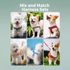 Small Dog Harness and Leash