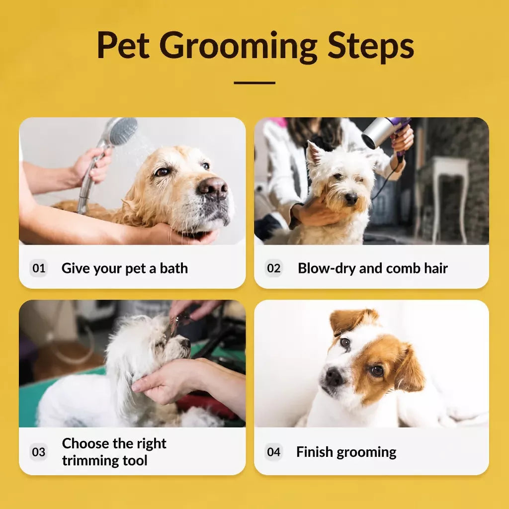 Stainless Steel Pet Grooming Scissors & Comb Set