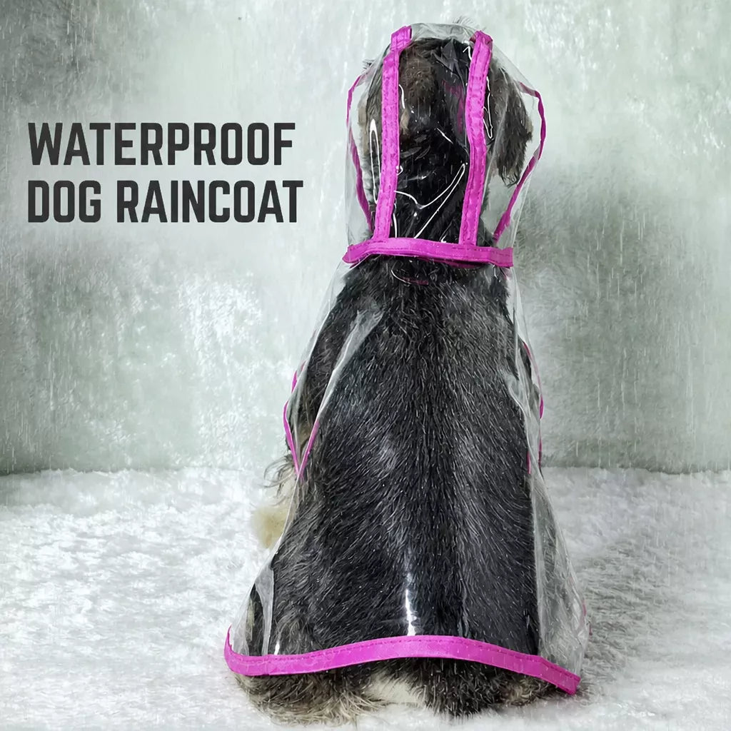 Transparent EVA Dog Raincoat with Hood