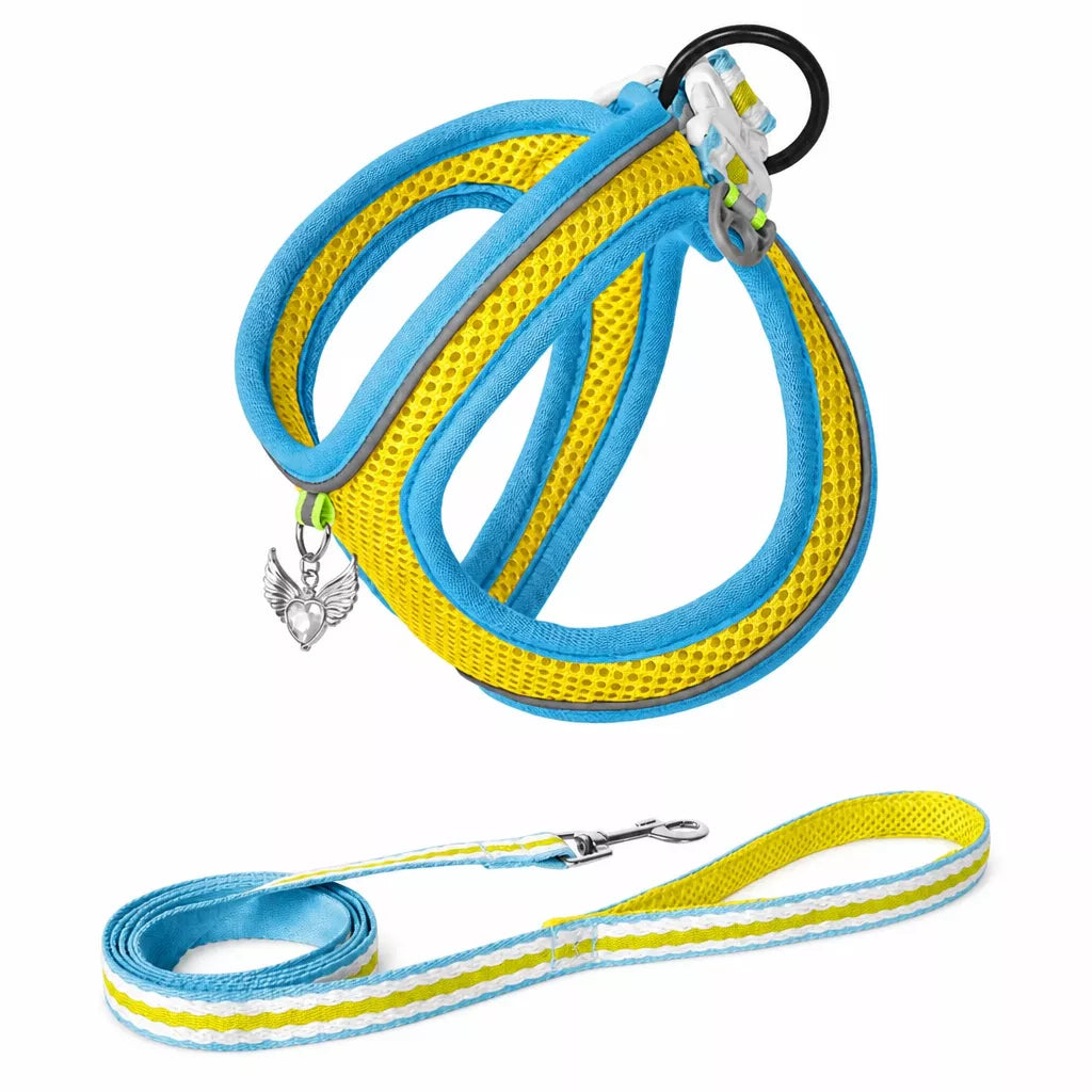 Adjustable Dog Harness with 4.6-ft Leash for Small Dogs