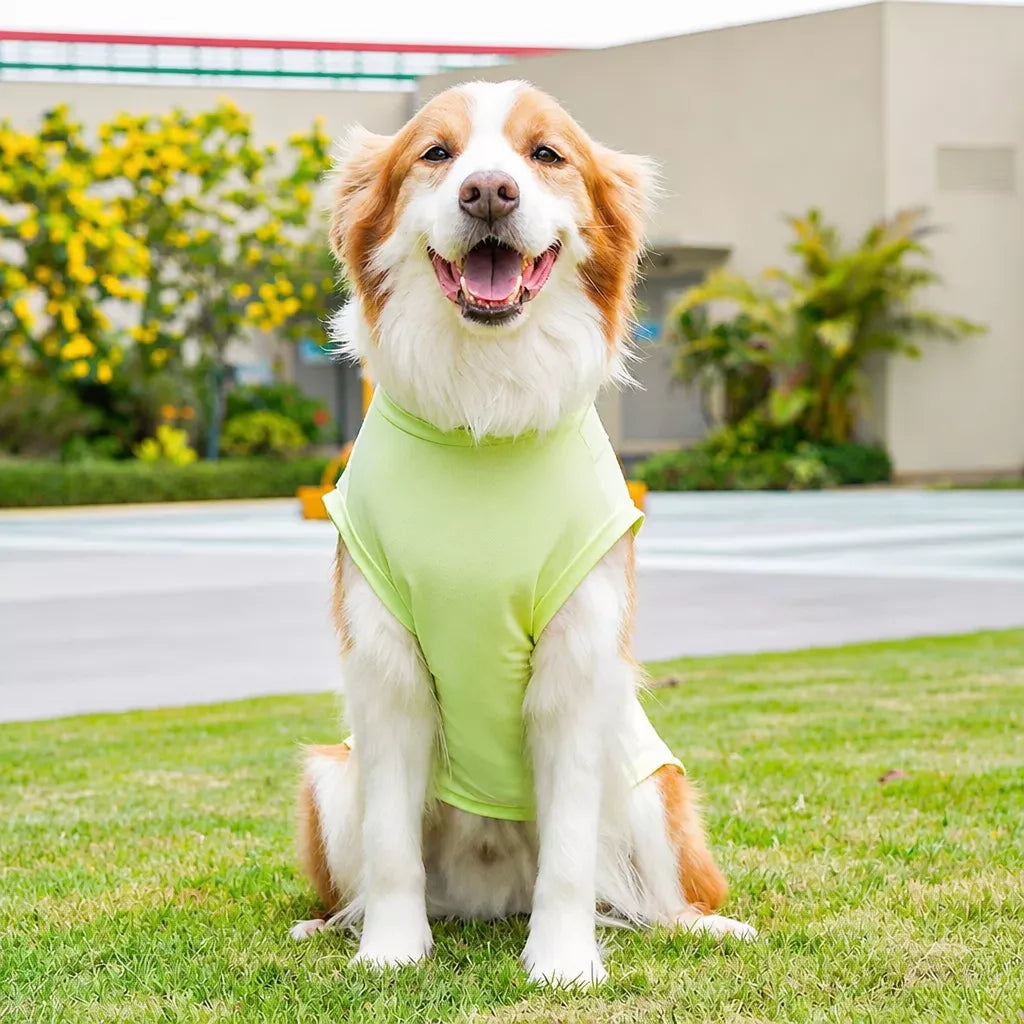 Lightweight Four-Leg Pet Shirt for Dogs & Cats