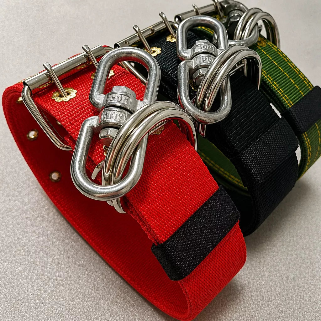 Heavy-Duty Nylon Dog Collar with Figure-8 Swivel Ring