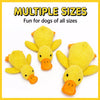 Plush Squeaky Dog Toys for Puppies, Small, Medium, and Large Dogs