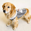 Lightweight Cotton Dog Graphic Pet Shirt for Cats & Dogs