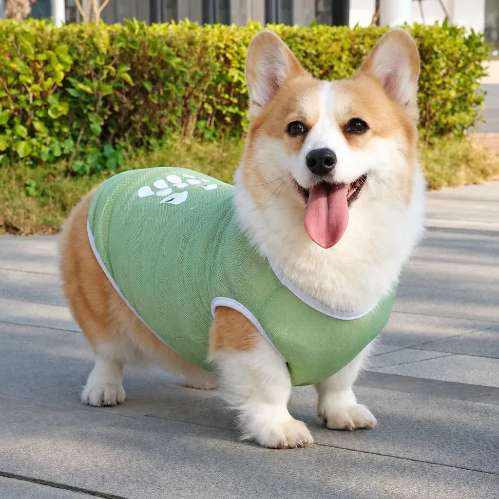 Lightweight Nylon Dog Vest for Everyday Wear