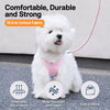 Vest-Style Dog Harness with Leash