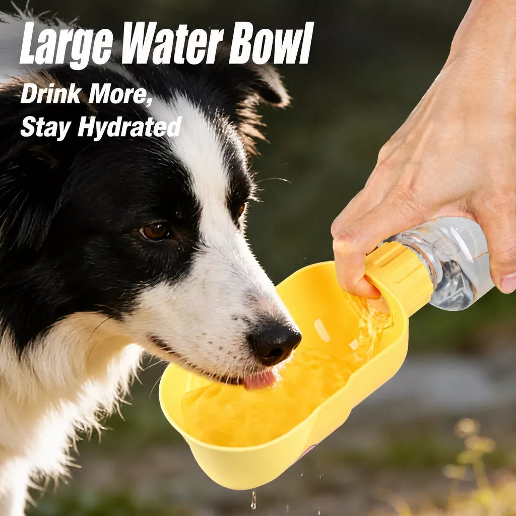 Portable Foldable Dog Water Bottle for Walks and Travel