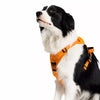 Vest-Style Dog Harness with Retractable Leash