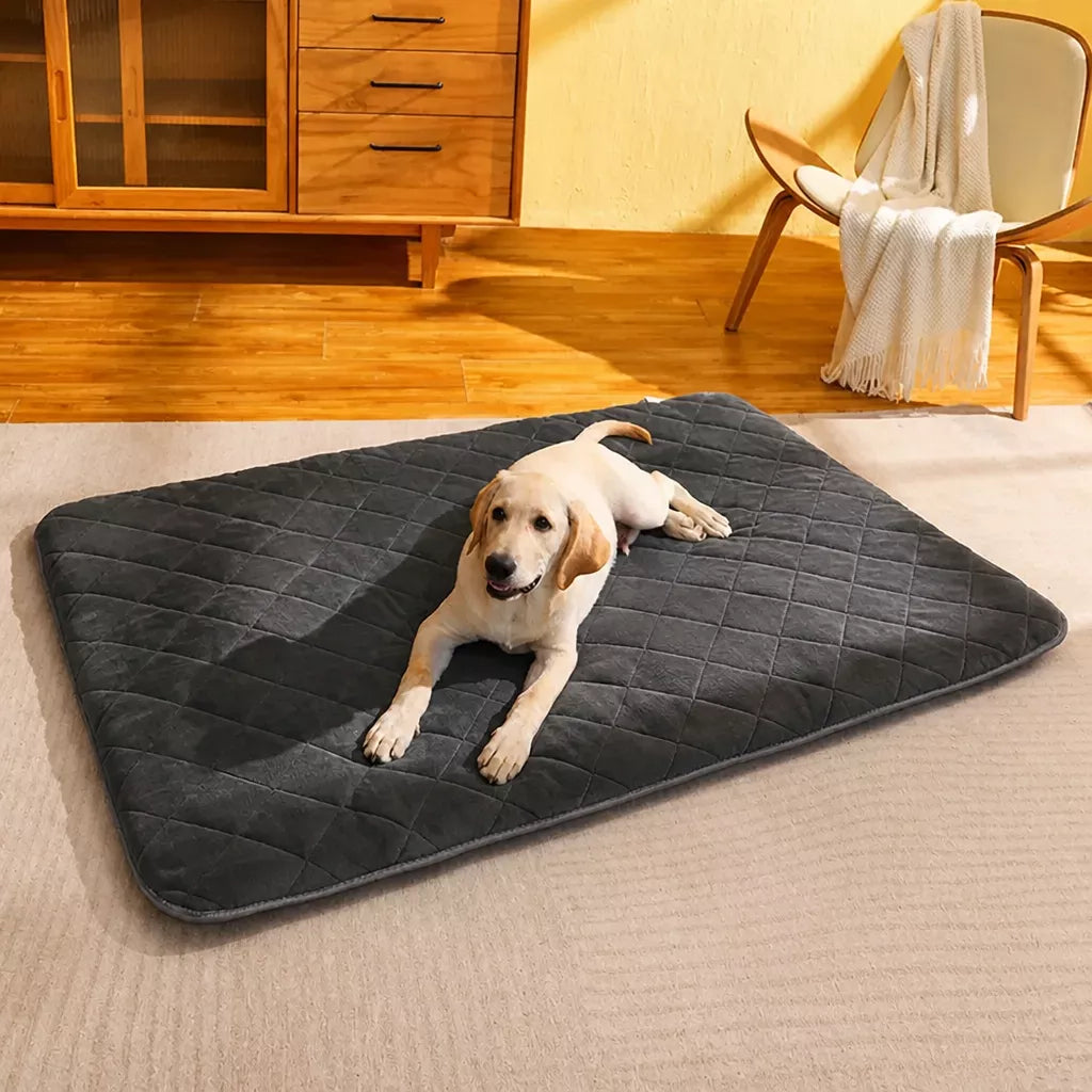 Nylon Pet Mat Bed for Dogs and Cats