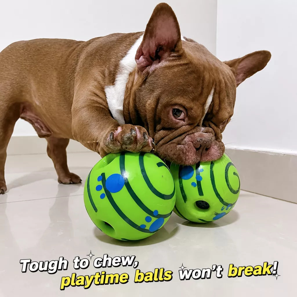 Interactive Squeaky Ball Dog Toy
