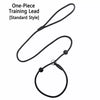 Nylon Rope Training Leash for Small to Medium Dogs