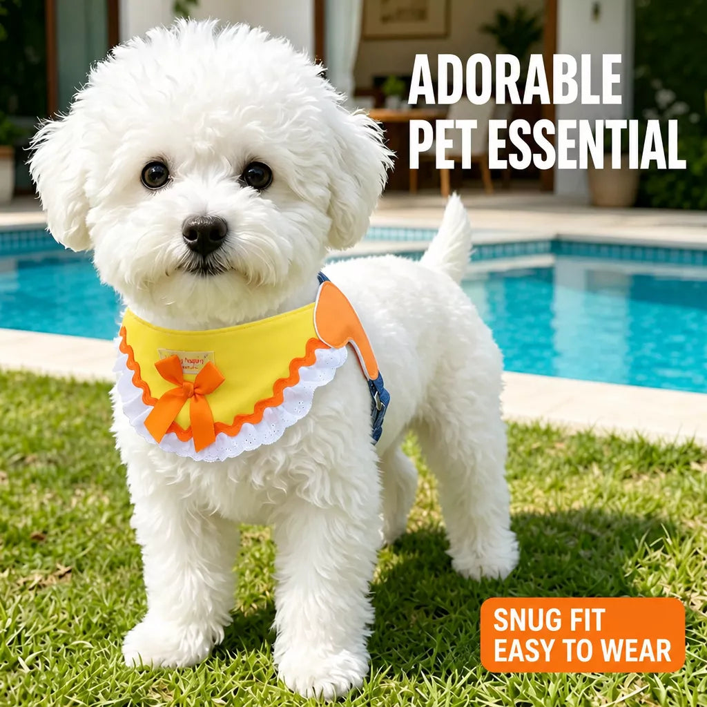 Dog Harness and Leash Set for Small to Medium Dogs