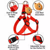 Adjustable Nylon Dog Harness with Leash Option