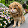 Pet Costume Hats for Cats and Dogs