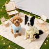 Lightweight Four-Leg Dog Shirt