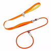 All-in-One Dog Collar and Leash