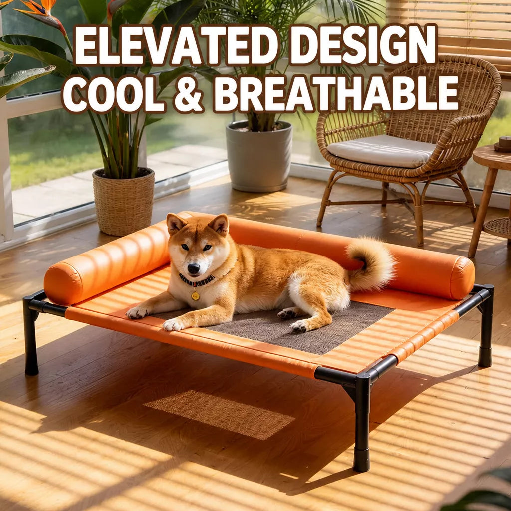 Raised Dog Cot Bed with Iron Frame