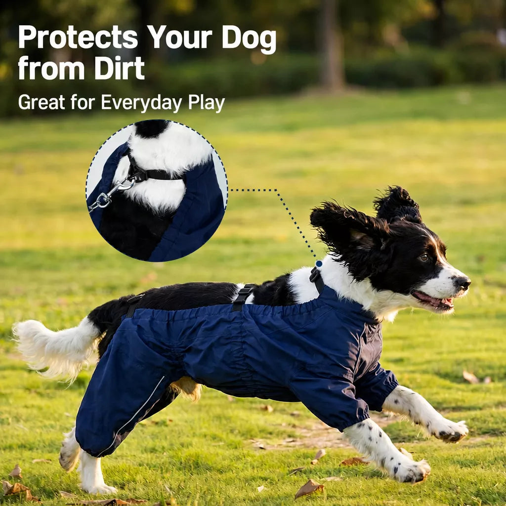 Two-Piece Dog Rain Suit
