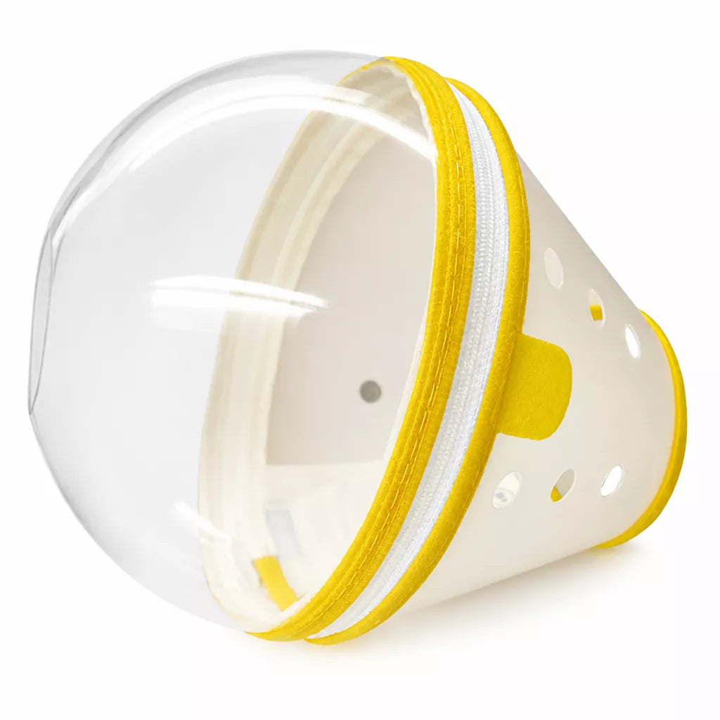 Adjustable Plastic Recovery Cone for Dogs | Elizabethan Collar