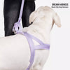 Dog Harness for Everyday Walks