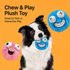 Plush Squeaky Ball Toy for Dogs