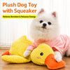 Plush Squeaky Dog Toys