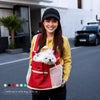 Nylon Mesh Pet Carrier Backpack for Cats and Small Dogs