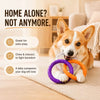 Dog Tug Ring Toy for Chewing, Training, and Interactive Play
