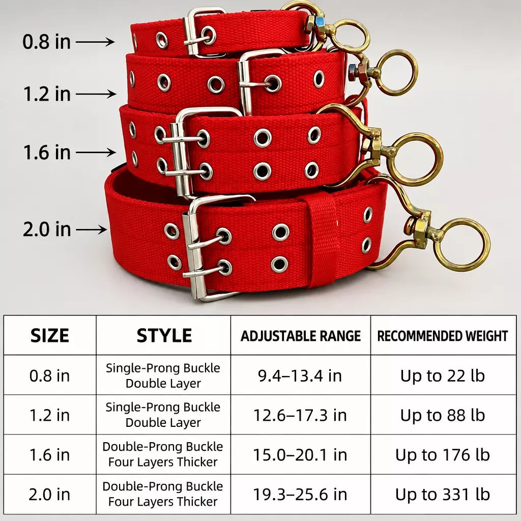 Nylon Dog Collar for Small to Large Dogs