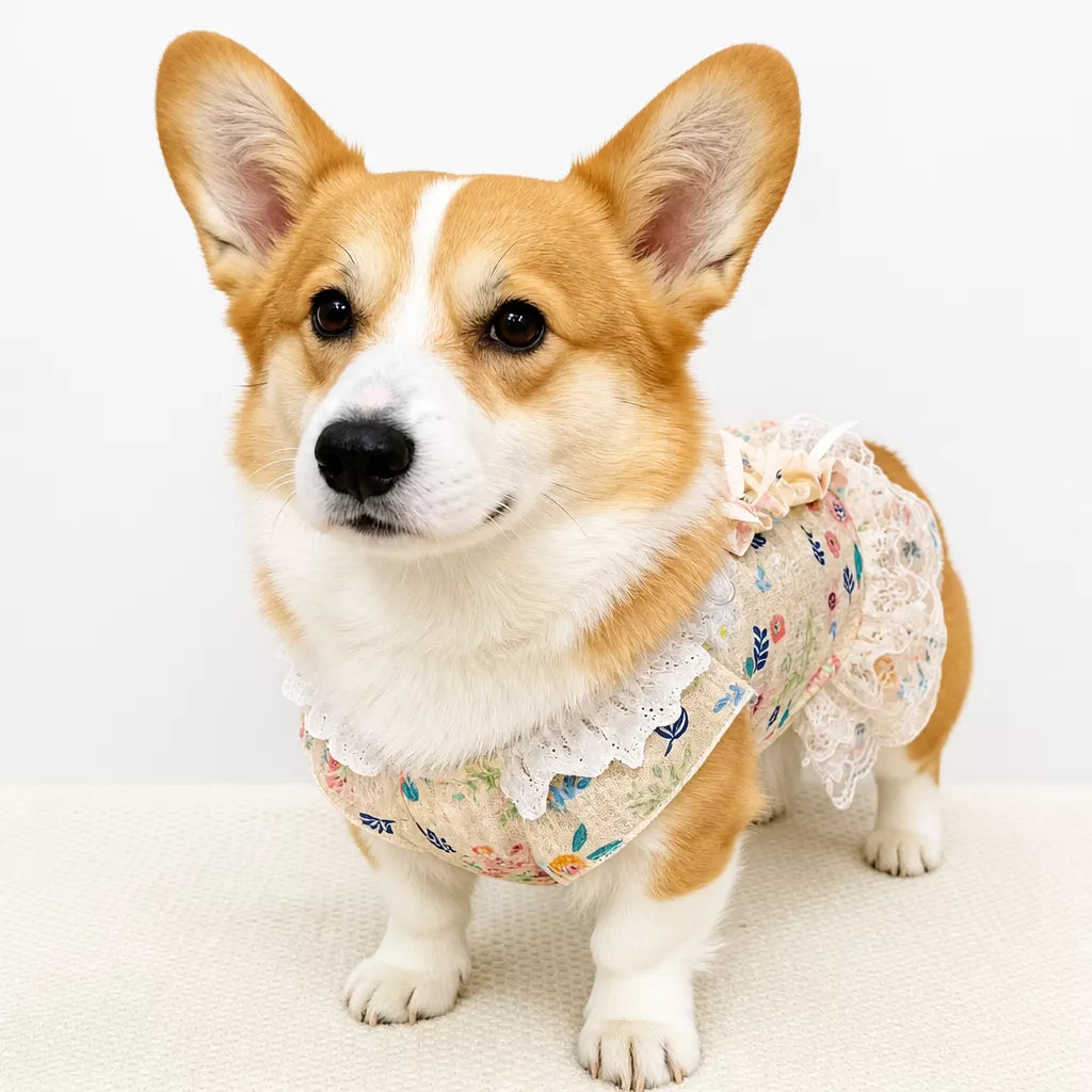 Lightweight Lace Pet Clothing with Bow and Ruffle Trim
