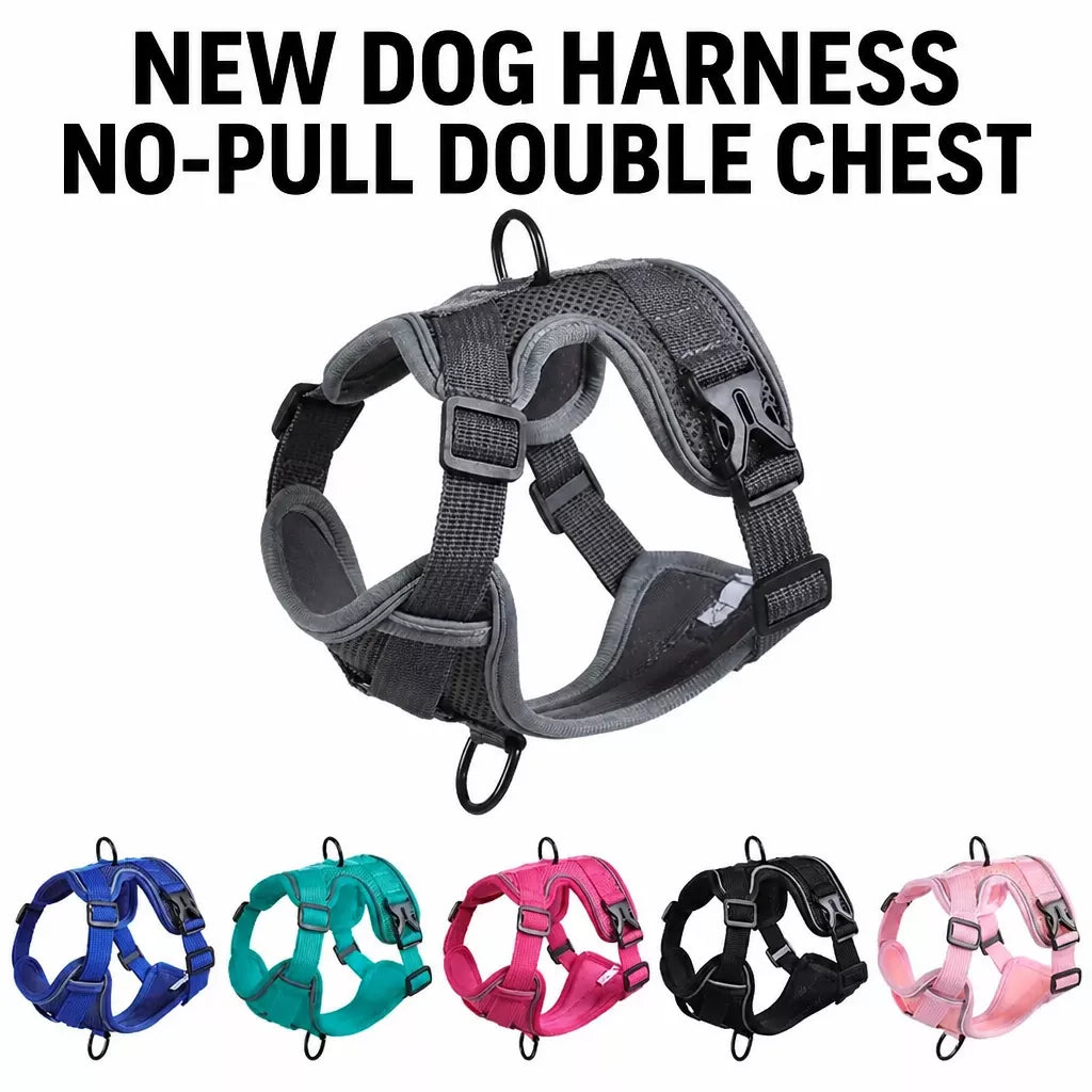 Adjustable Cat Harness and Leash