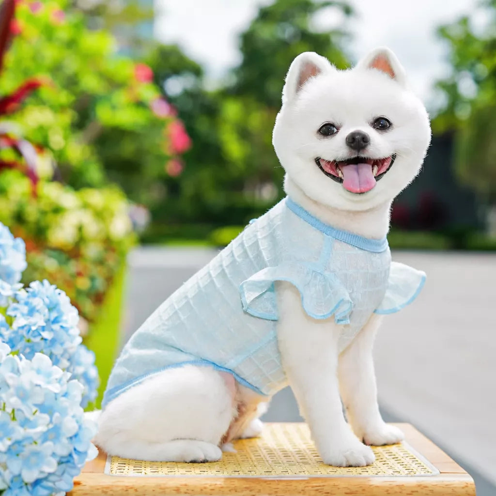 Lightweight Silk Pet Shirt with Lace Sleeves