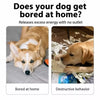 Crinkle Newspaper-Style Dog Toy for Interactive Play