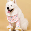 Summer Dog Shirt with Bib Front and Optional Elbow Sleeves