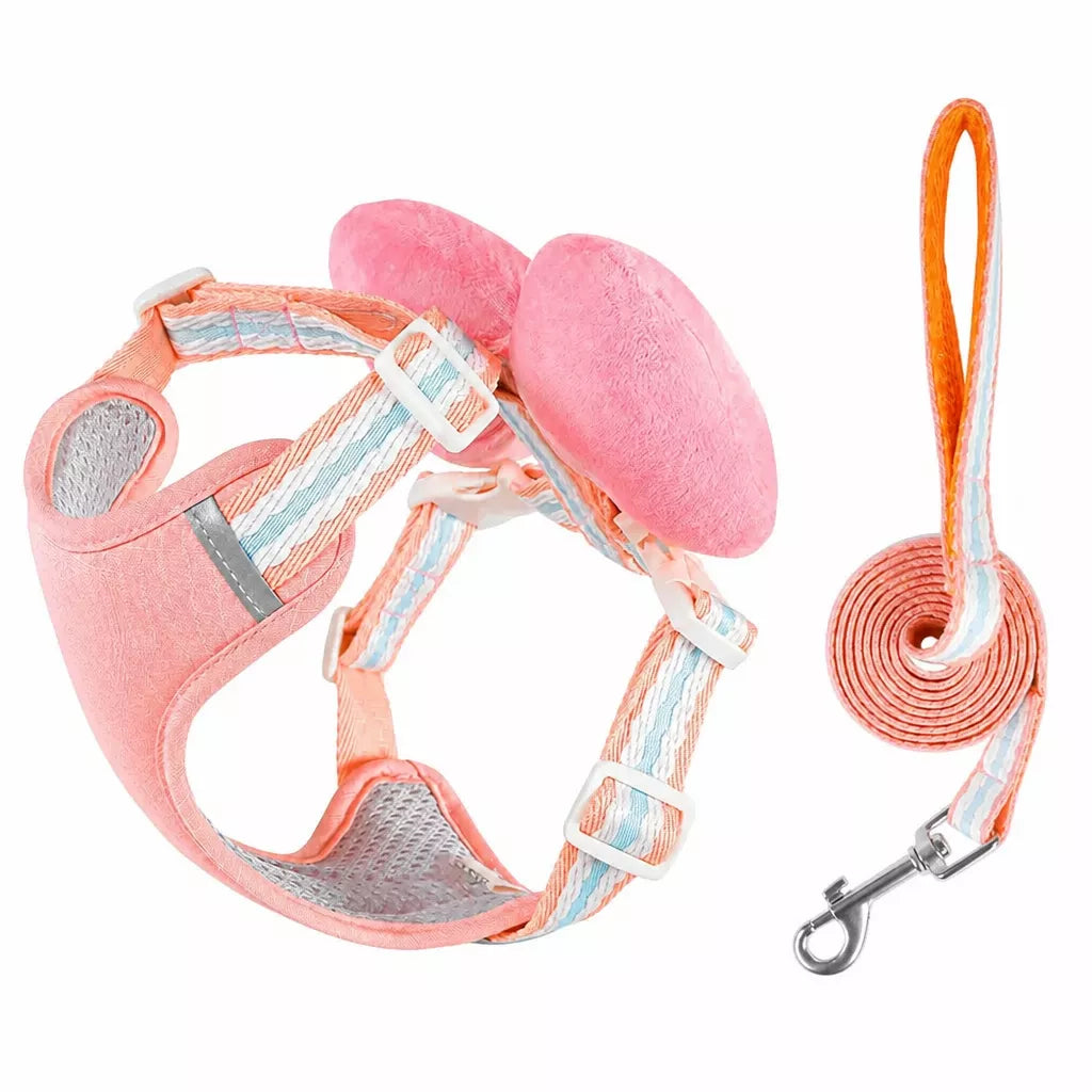 Small Dog Harness & Leash