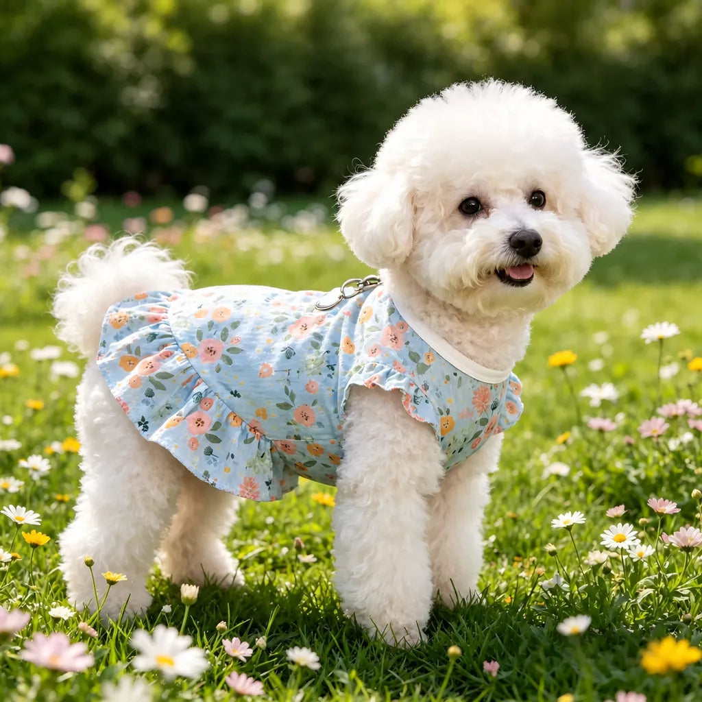 Mesh Pet Dress for Dogs and Cats