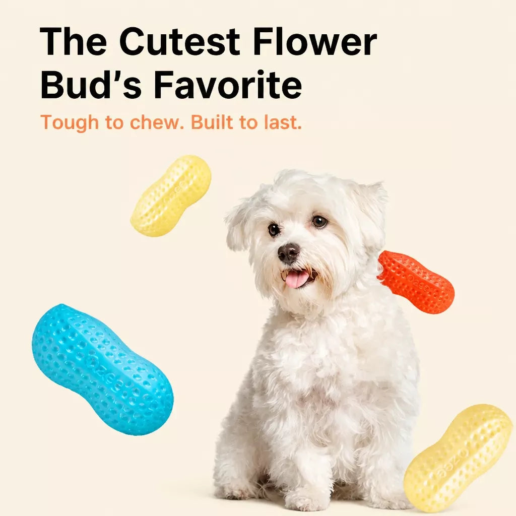 Squeaky Peanut-Shaped Dog Toy