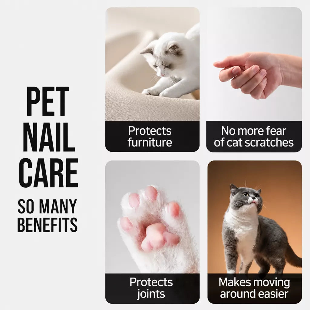 Electric Nail Grinder for Dogs and Cats