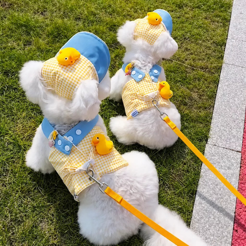 Pet Harness Vest, Leash & Hat Sets for Cats and Dogs