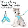 Nylon Round Rope Dog Leash for Small to Medium Dogs