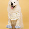 Summer Dog Shirt with Bib Front and Optional Elbow Sleeves