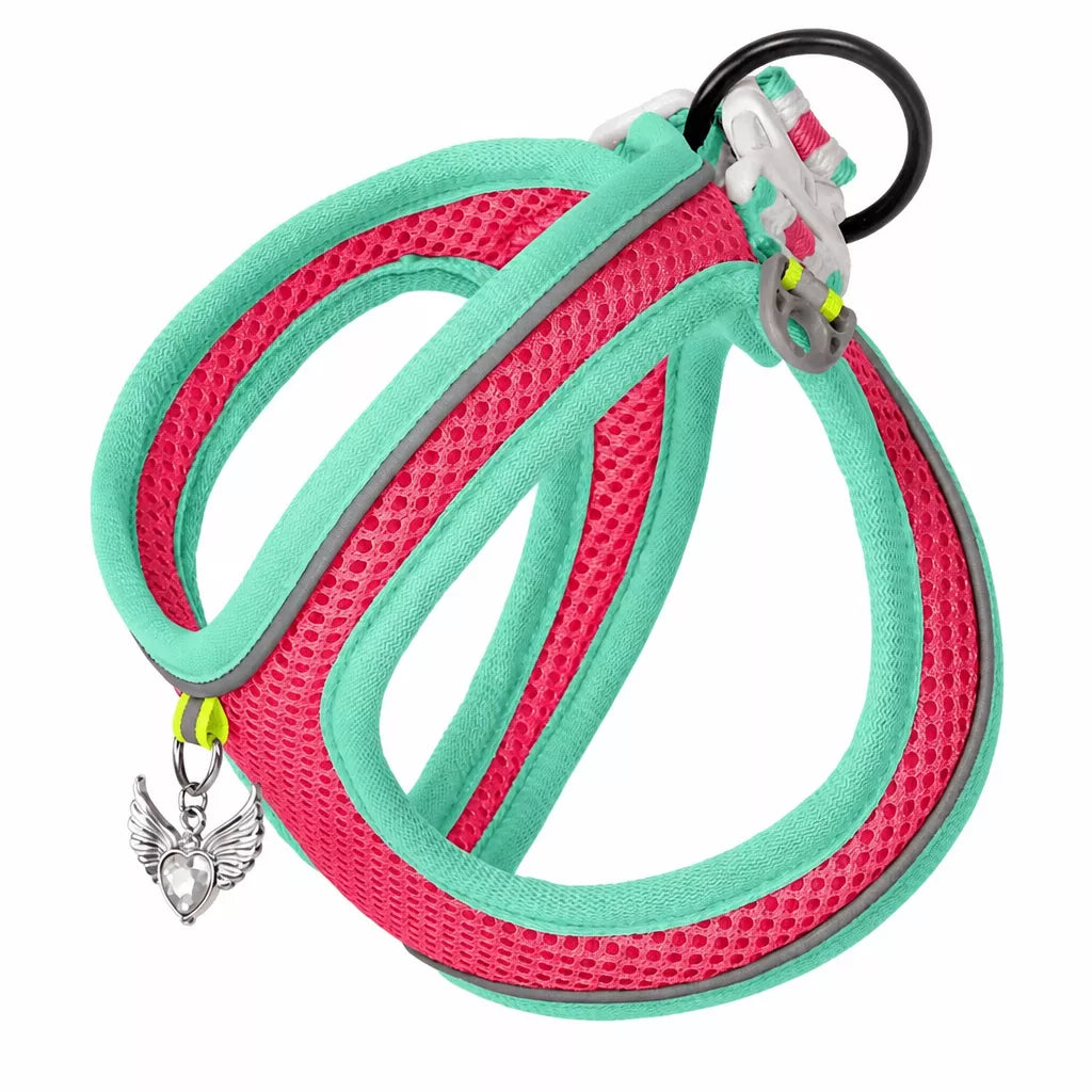 Adjustable Dog Harness with 4.6-ft Leash for Small Dogs